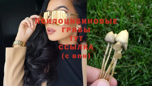 молекула духа Володарск