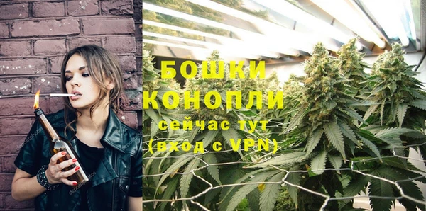 молекула духа Володарск