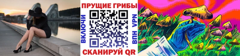 Псилоцибиновые грибы GOLDEN TEACHER  Шахты 
